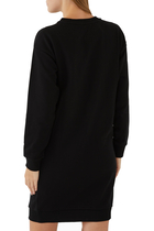 AX Sweatshirt Dress