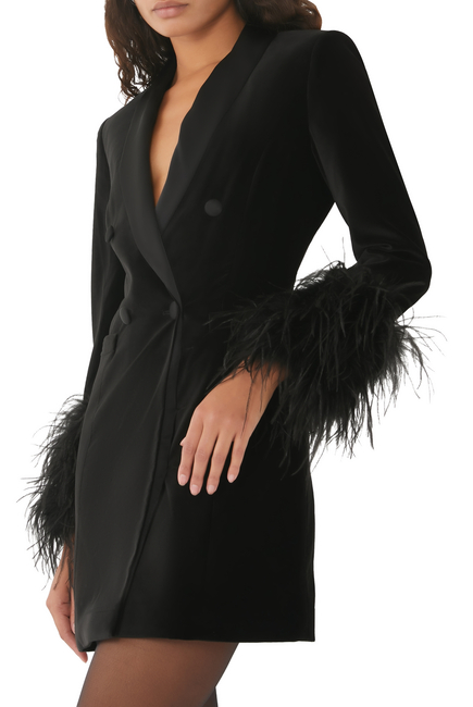 Latoya Feather Cuff Mini Dress