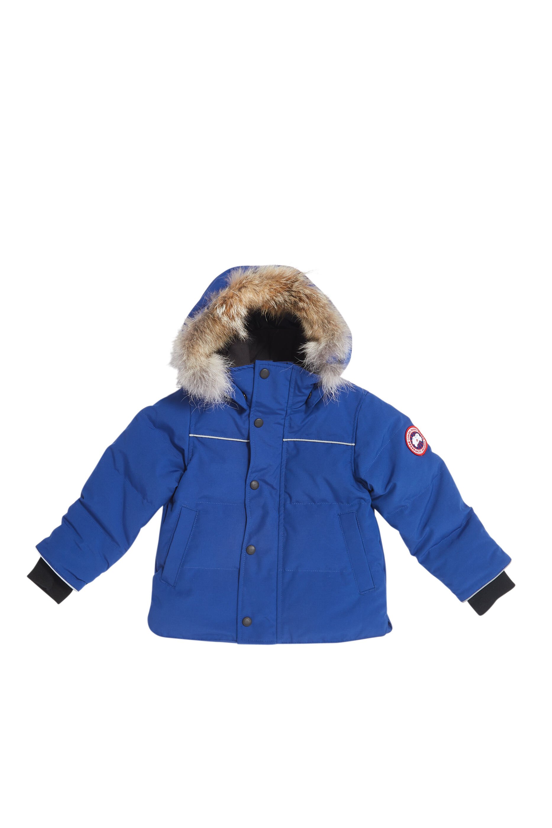 snowy owl parka