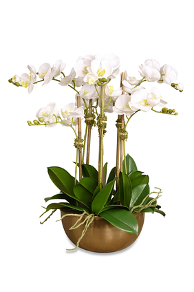 Small Artificial Orchid Arrangement