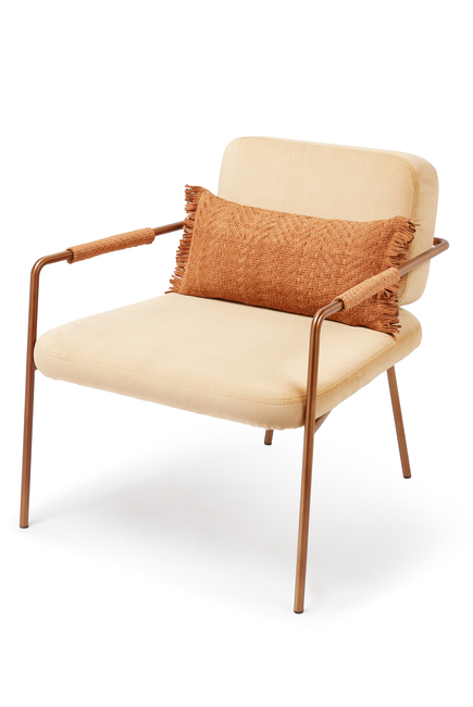 Metallic Chair With Cushion