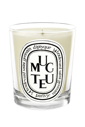 Muguet (Lily of The Valley) Candle