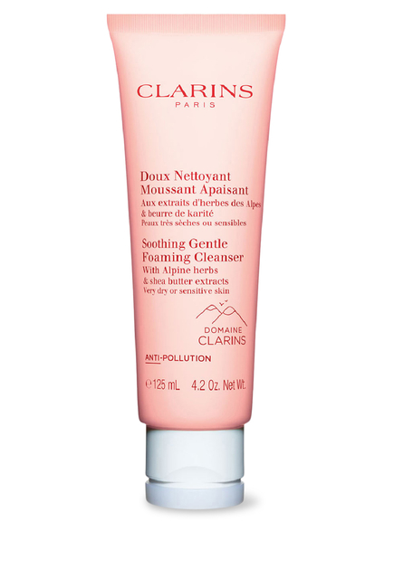 Soothing Gentle Foaming Cleanser