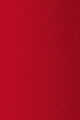 503 Red Fuchsia