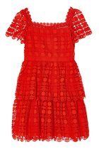 Petal Lace Tiered Mini Dress