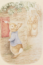 Kids Peter Rabbit Set