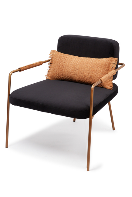 Metallic Chair With Cushion