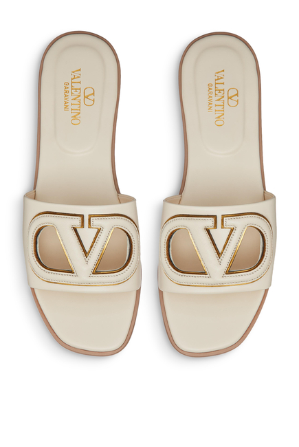 VLogo Cut-Out Slides