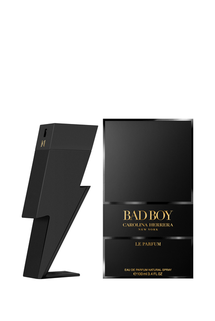 Bad Boy Le Parfum