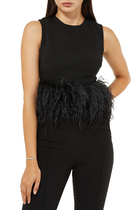 Dickinson Feather-Trimmed Crepe Top
