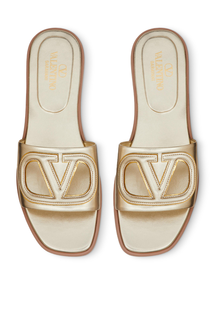 VLogo Cut-Out Slides