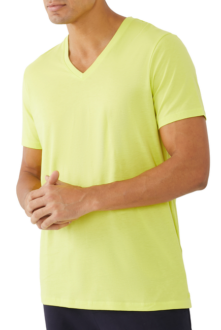 Classic V-Neck T-Shirt