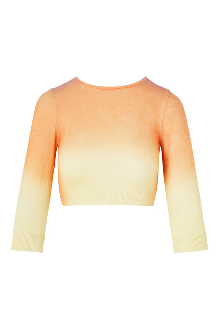 Layla Ombre Knit Crop Top