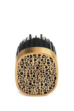 Electric Diffusor Plug