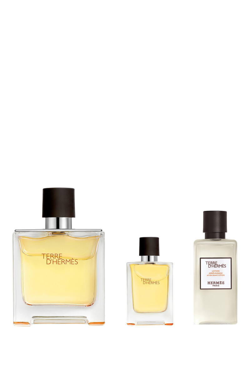 Buy Hermes Terre d'Hermès Gift Set, Parfum - Womens for AED 548.00 ...