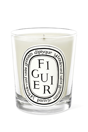 Figuier Candle