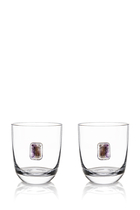 Elevo DOF Glasses Amethyst Set of Two