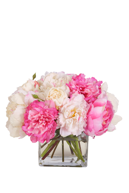 Peony in Glass Cube Vase