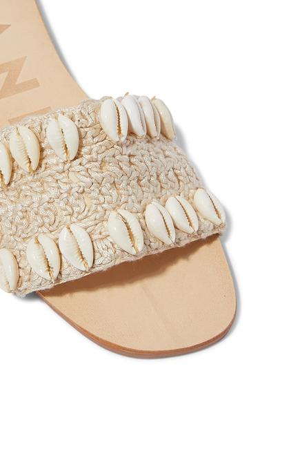 Conch Shell Slides