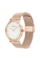 Perry 36mm Mesh Band Watch