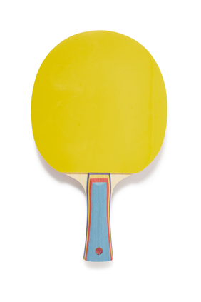 Butterfly Edition Table Tennis Racket