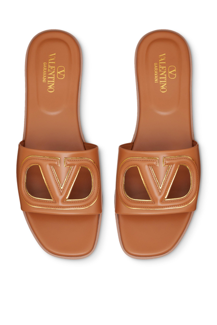 VLogo Cut-Out Slides