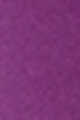 N.04 Purple Tag