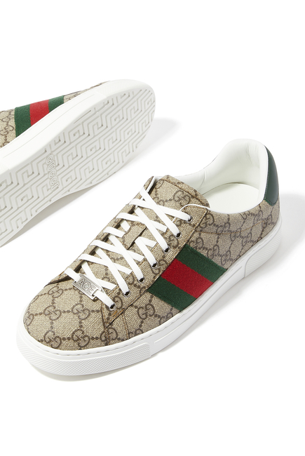 Ace Canvas Web Sneakers