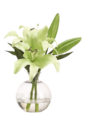 Lillies in Glass Vase