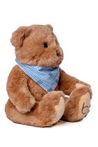 Bandana Brown Bear