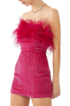 Torin Sequin feather Dress