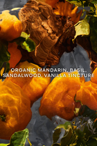 Mandarine Basilic Forte Eau de Parfum