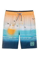 Kids Neal Sunset Beach Board Shorts