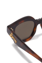 Small Browline Sunglasses