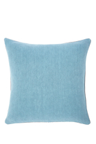 Pigment Cushion