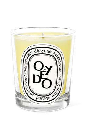 Oyedo Candle