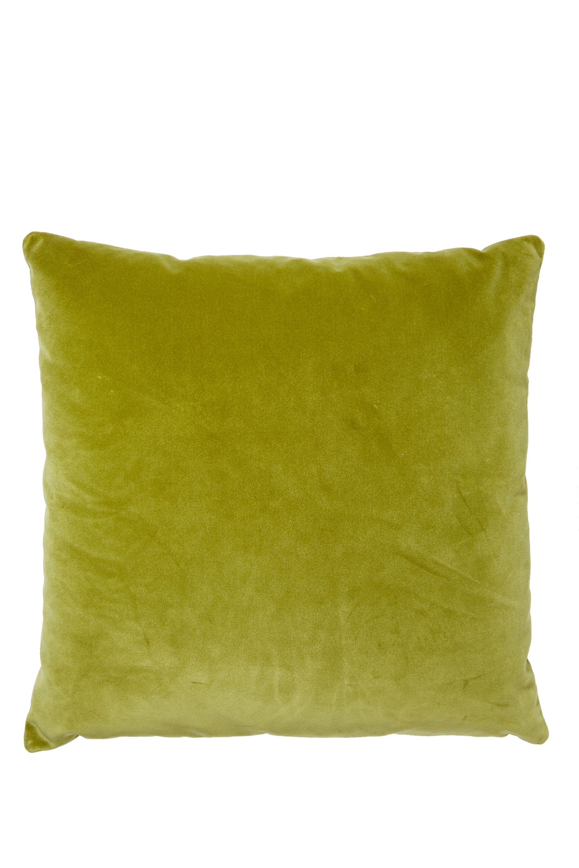 Pale green cheap velvet cushions