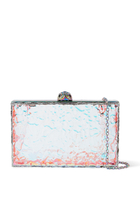 Iridescent Eagle Box Clutch