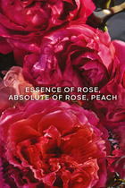 Rosa Rossa Forte Eau de Parfum