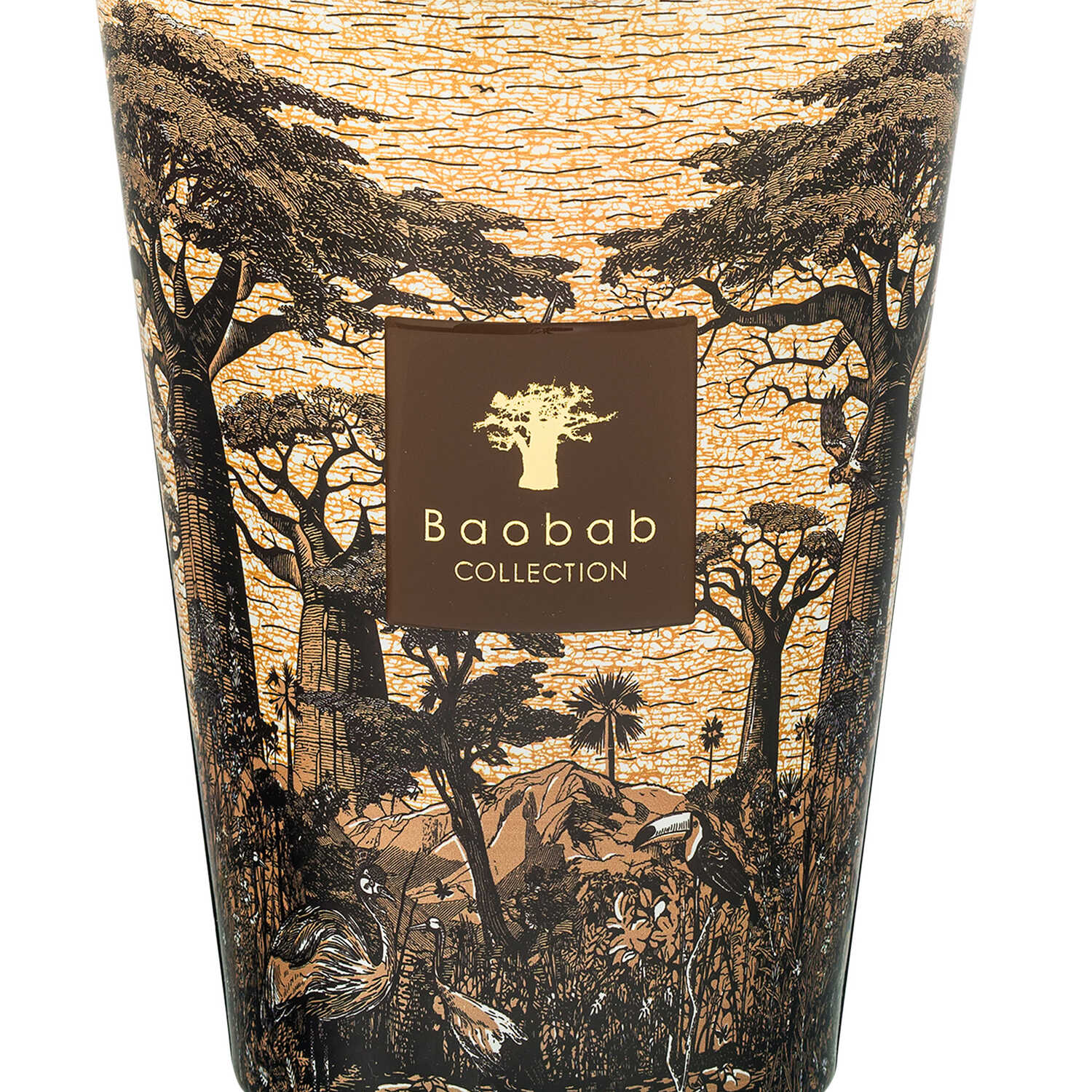 Baobab Collection Sacred Trees Mankono Scented Candle 3000g