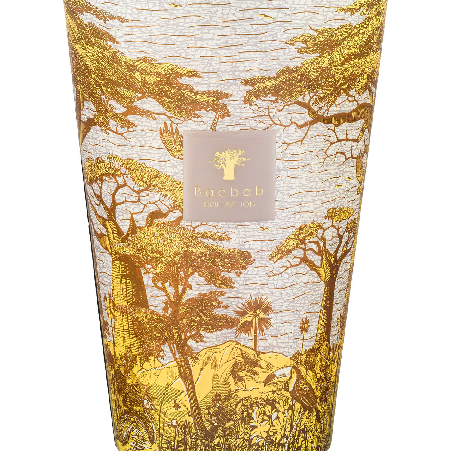 Baobab Collection Sacred Trees Bounkani Scented Candle 6500g