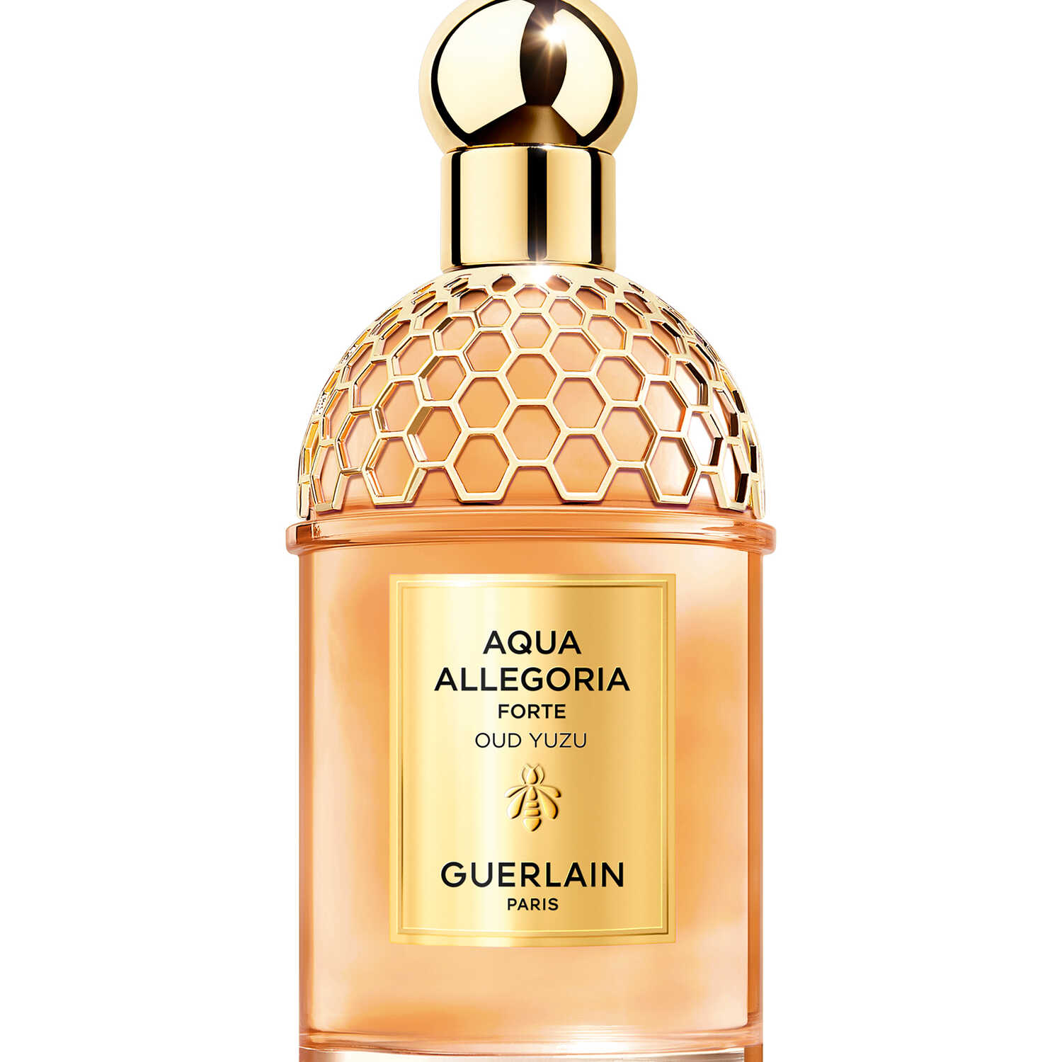 Guerlain Aqua Allegoria Forte Oud Yuzu Eau De Parfum 125ml