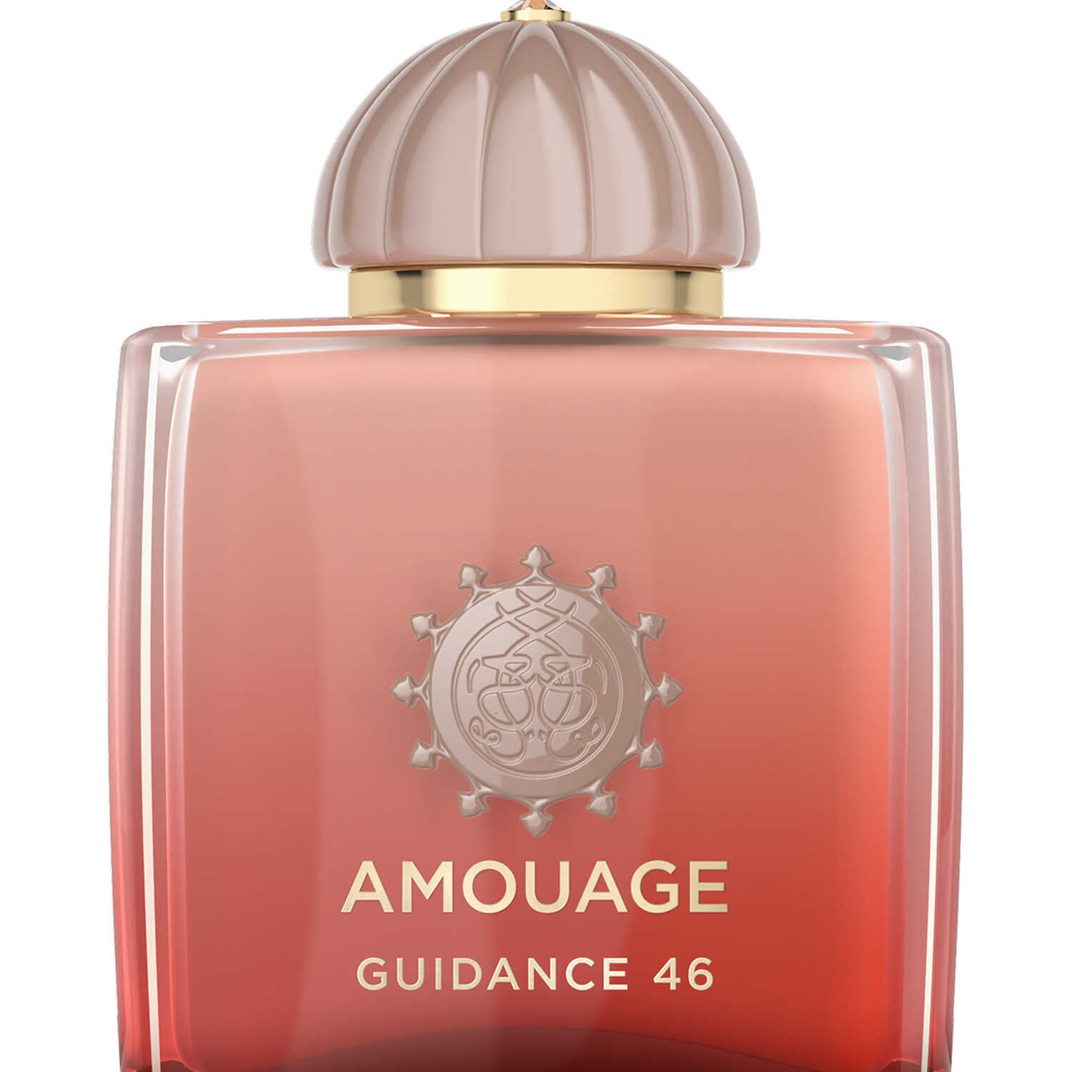 Amouage Guidance 46 Extrait De Parfum 100ml