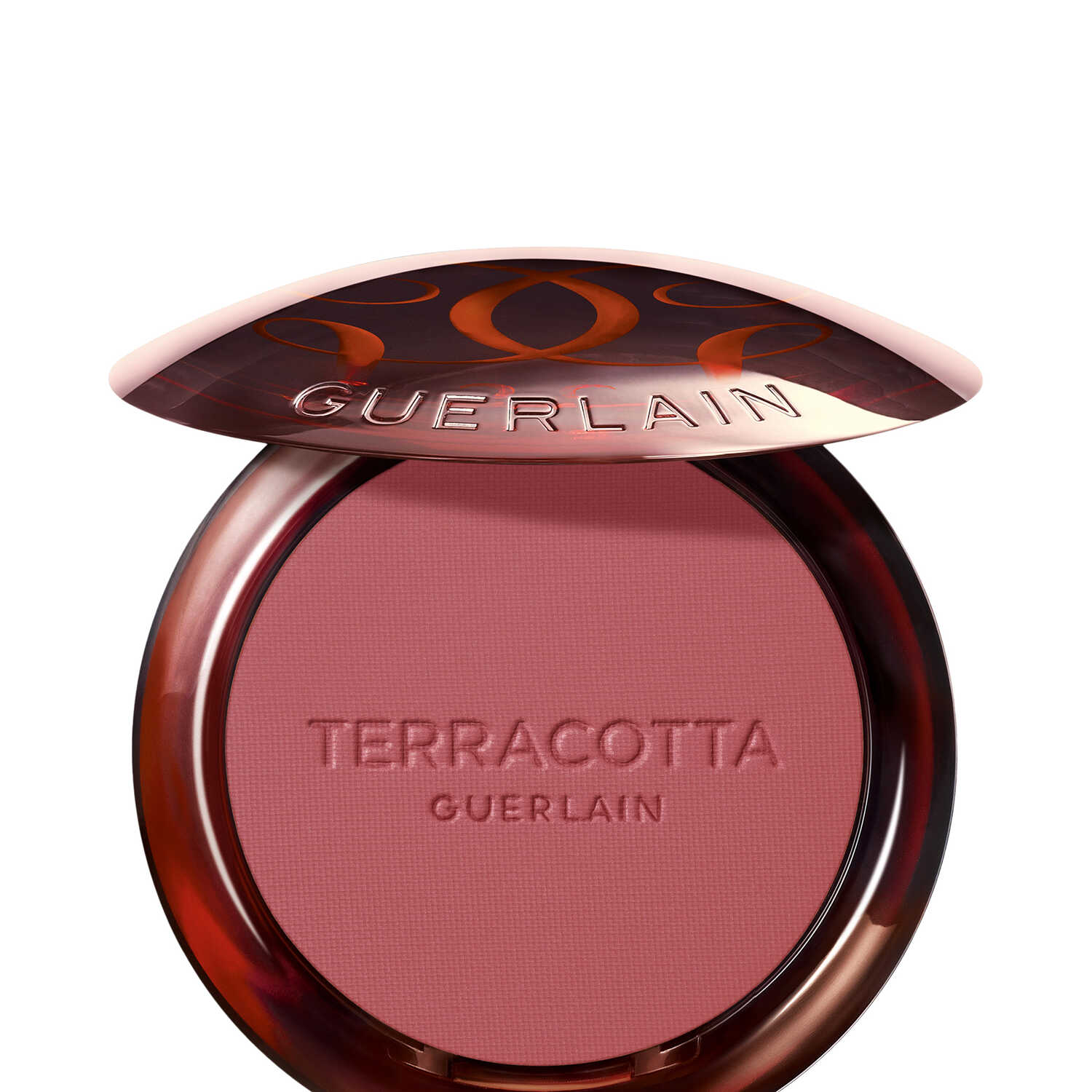 Guerlain Terracotta Healthy Glow Powder Blush 5g