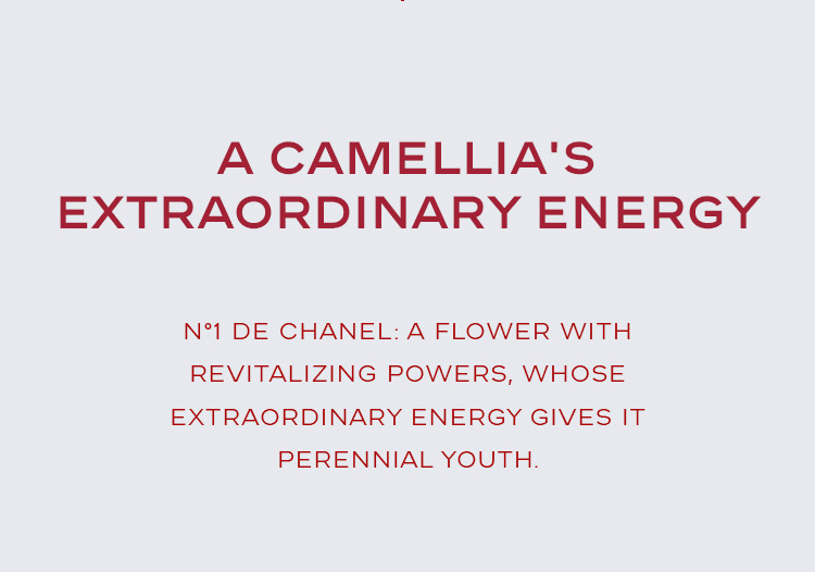 N°1 DE CHANEL