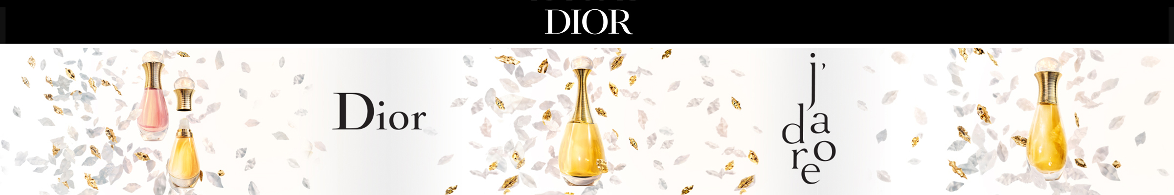 dior-banner-new