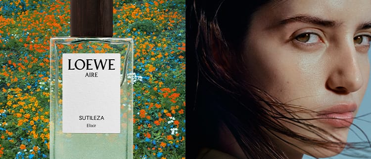 WK12_26-PLPBanner-BTY-Loewe