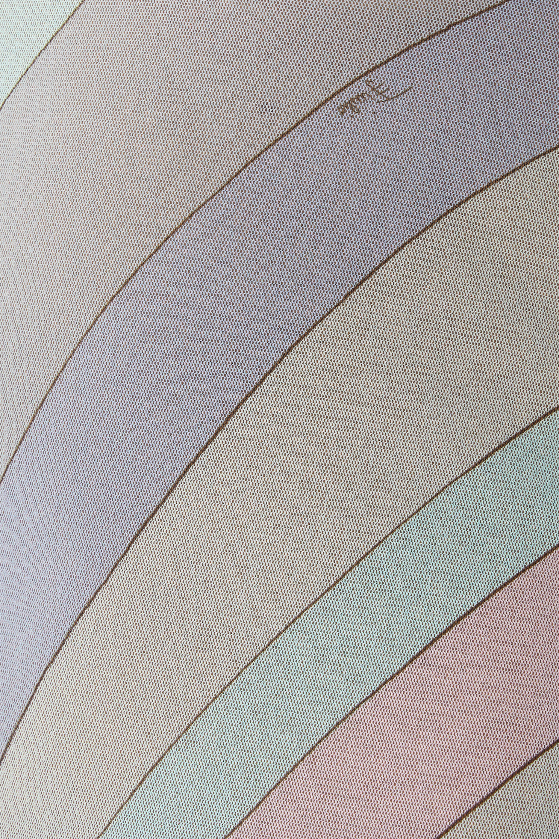 Tulle Long Sleeves T-Shirt