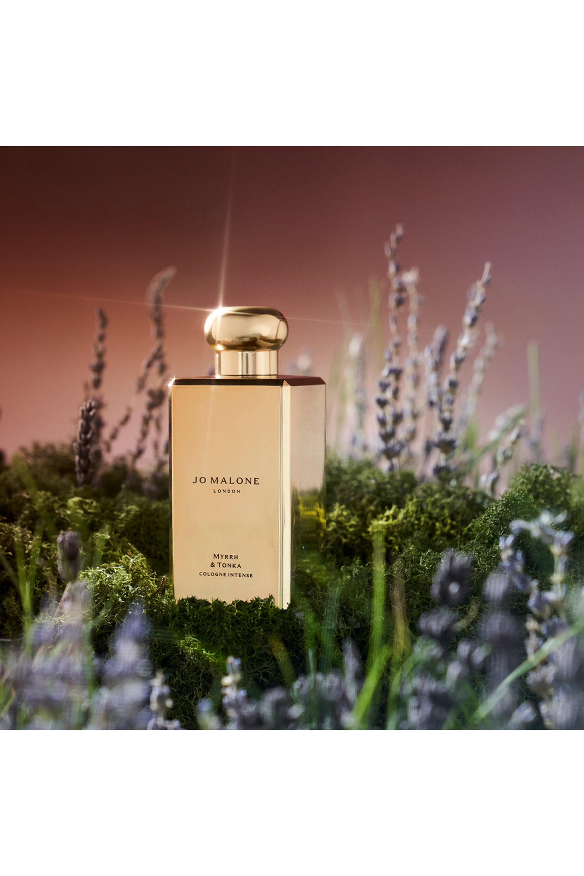 Special-Edition Myrrh & Tonka Cologne Intense