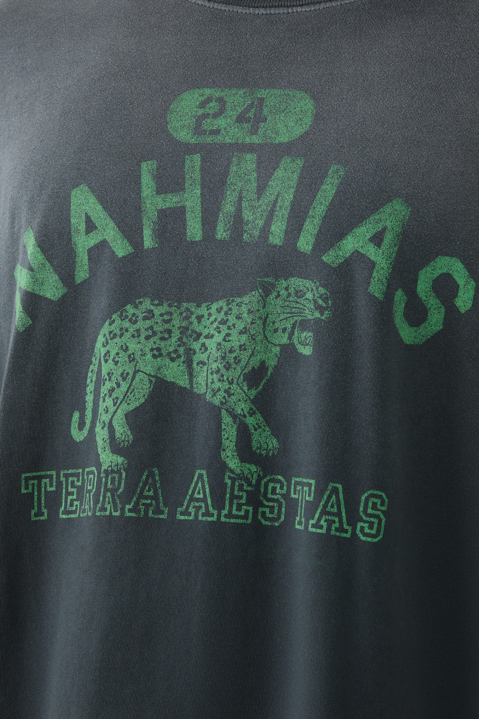 Terraestiva Boxy T-Shirt